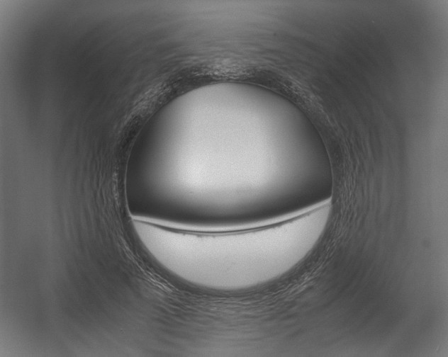 X0000058100689200509230754