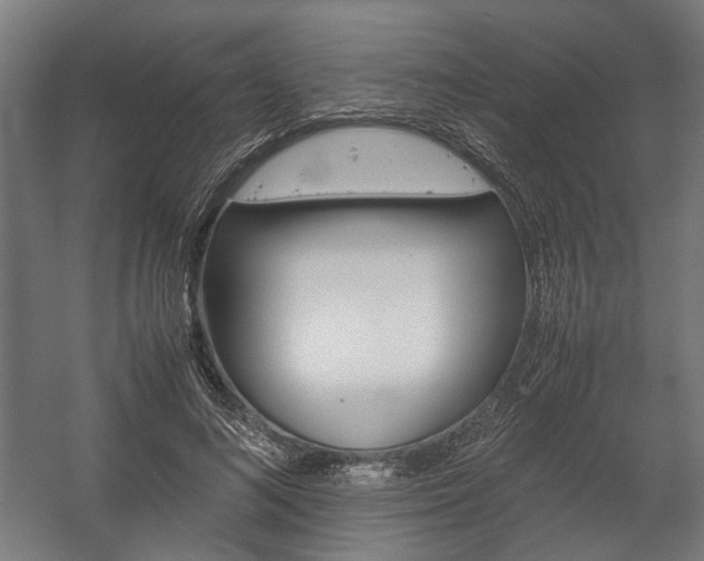 X0000058100692200509230754