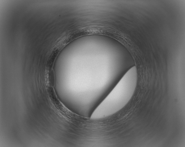 X0000058100696200509230754