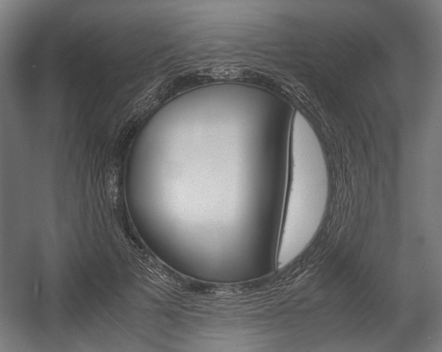 X0000058100697200509230754