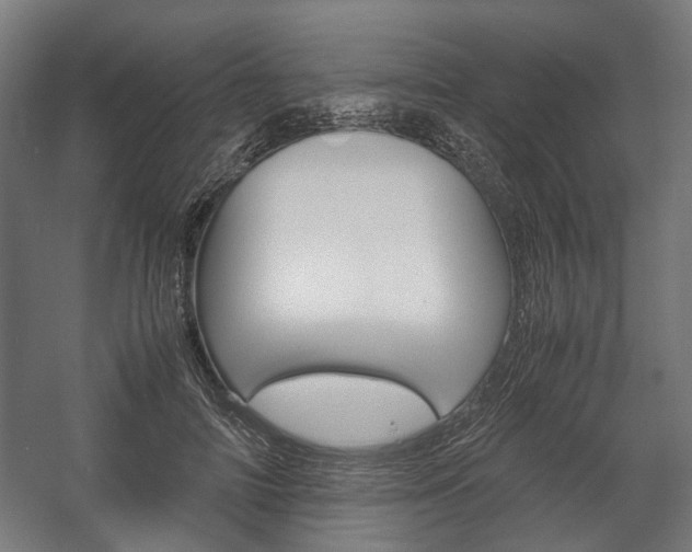 X0000058100698200509230754