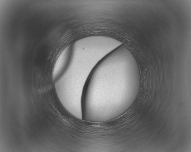 X0000058100699200509230754