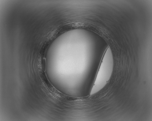 X0000058100700200509230754