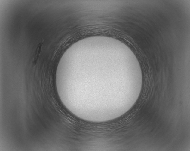 X0000058100701200509230754