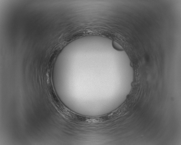 X0000058100703200509230754