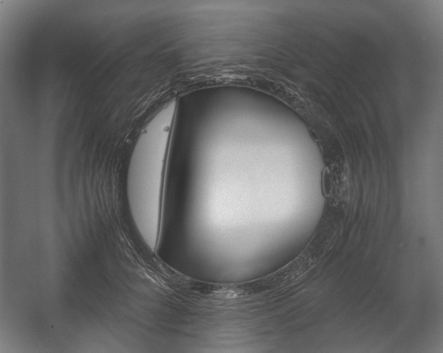 X0000058100704200509230754
