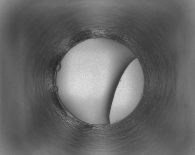 X0000058100706200509230754