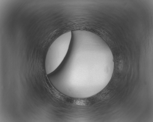 X0000058100710200509230754