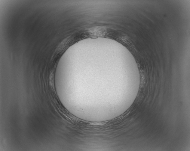 X0000058100713200509230754