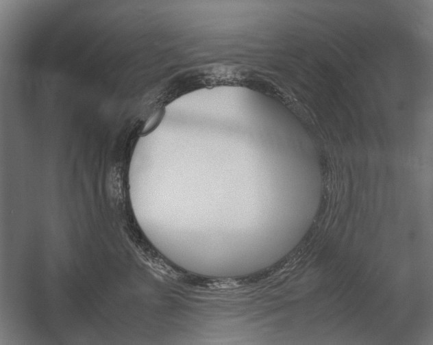 X0000058100715200509230754