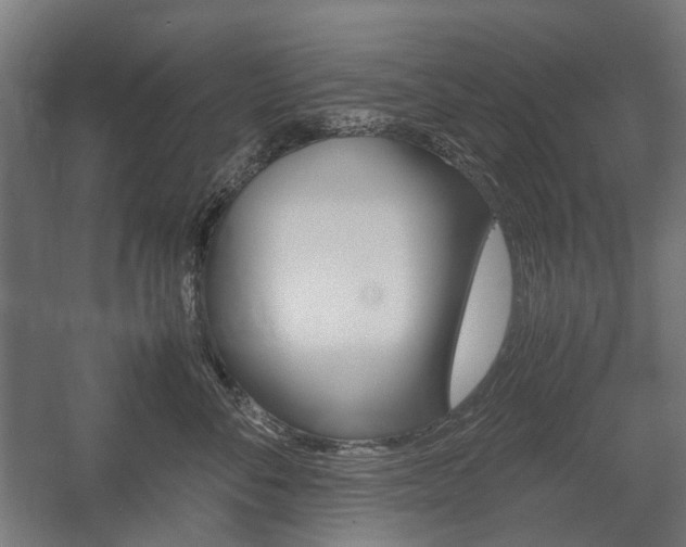 X0000058100716200509230754