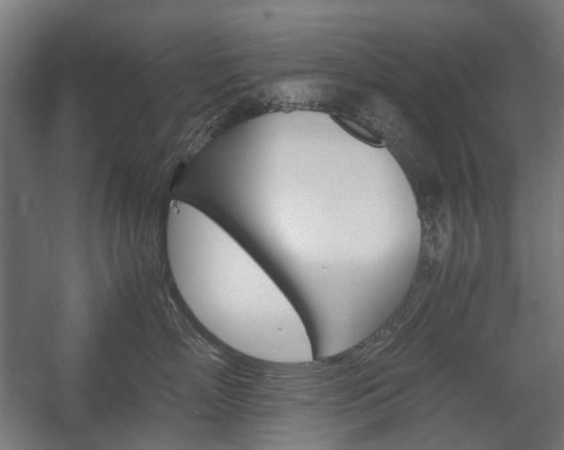 X0000058100718200509230754