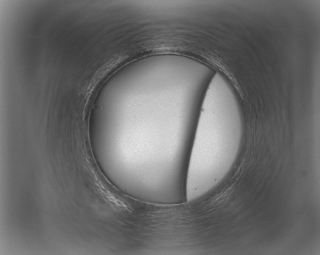 X0000058100721200509230753