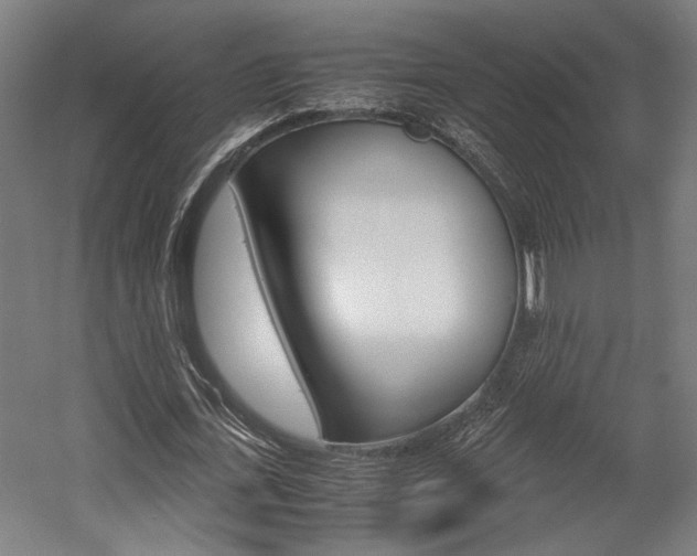 X0000058100723200509230753