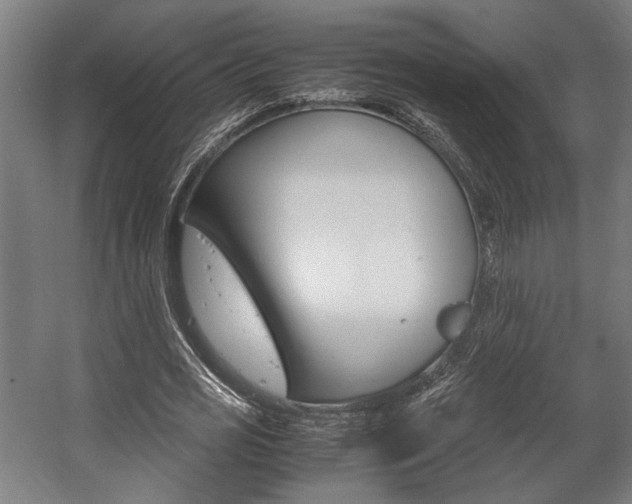 X0000058100725200509230753