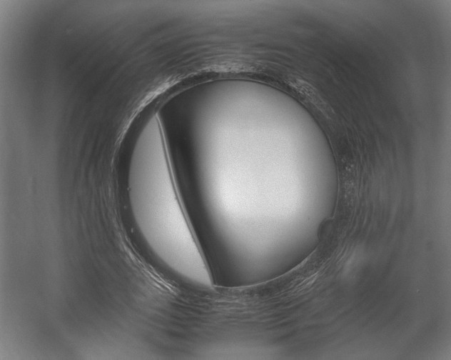 X0000058100727200509230753