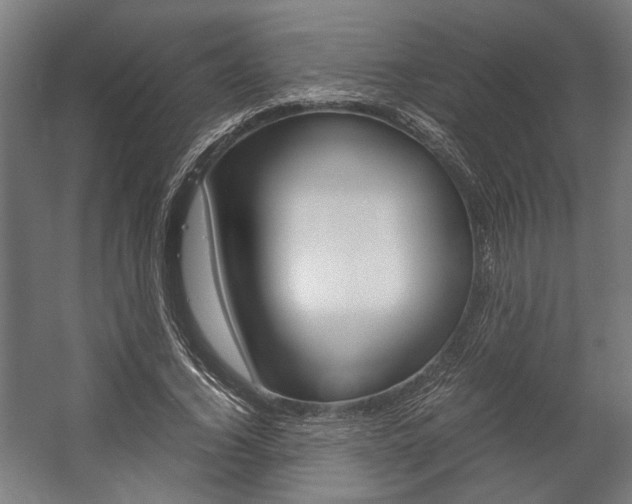 X0000058100732200509230753