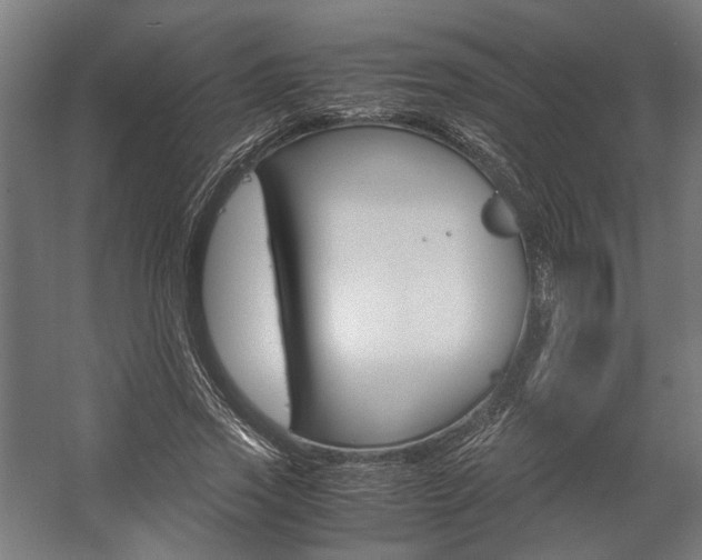 X0000058100733200509230753
