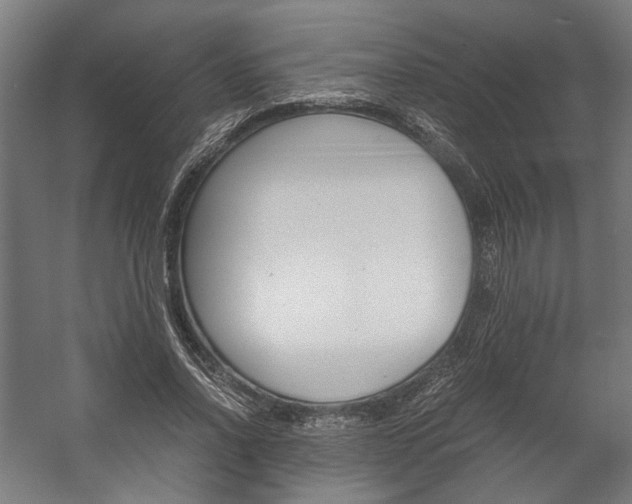 X0000058100734200509230753