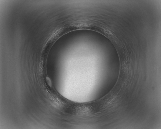 X0000058100735200509230753