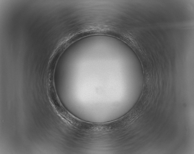 X0000058100736200509230753