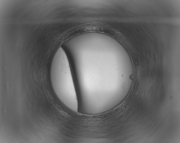 X0000058100737200509230753