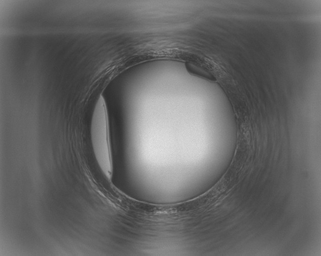 X0000058100744200509230753