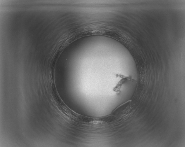 X0000058100748200509230753