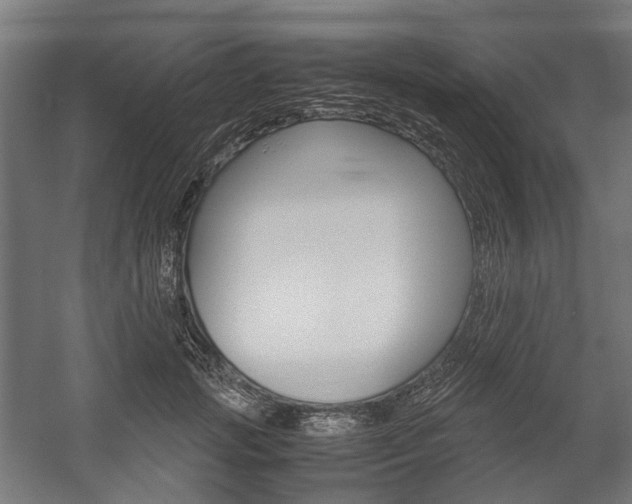 X0000058100749200509230753