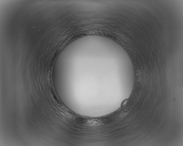 X0000058100753200509230754