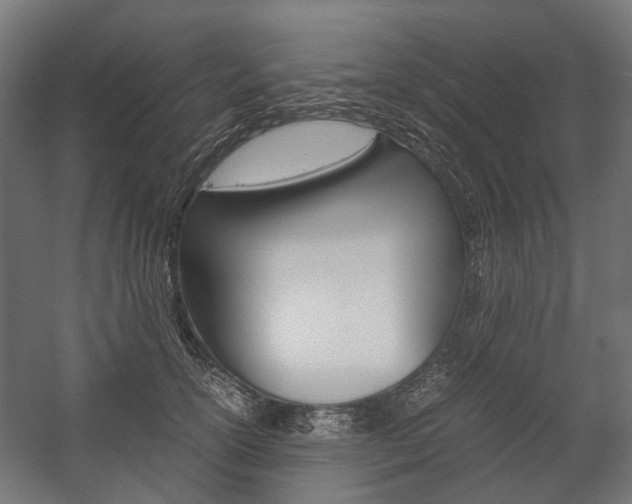 X0000058100754200509230754