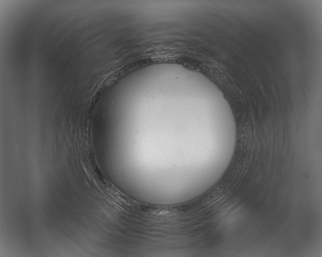 X0000058100755200509230754