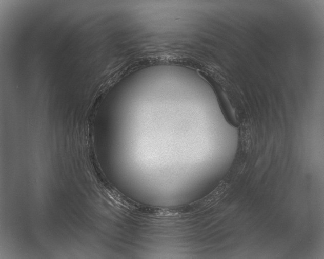 X0000058100760200509230754