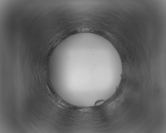 X0000058100761200509230754