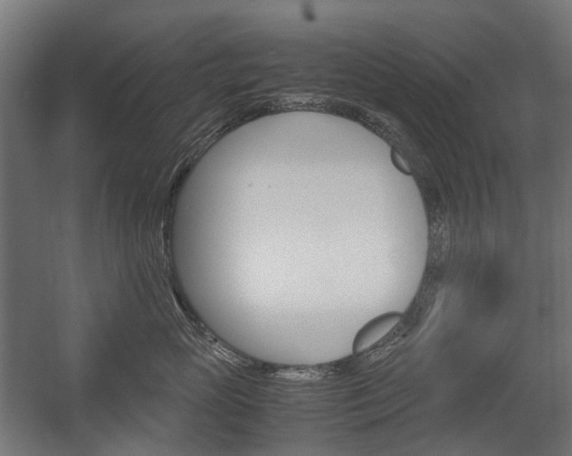 X0000058100765200509230754