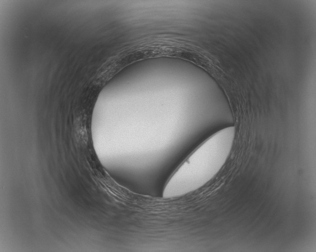 X0000058100771200509230753