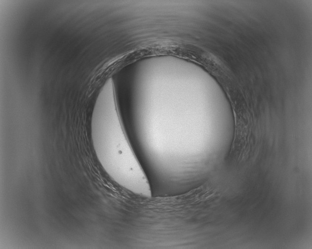 X0000058100773200509230753