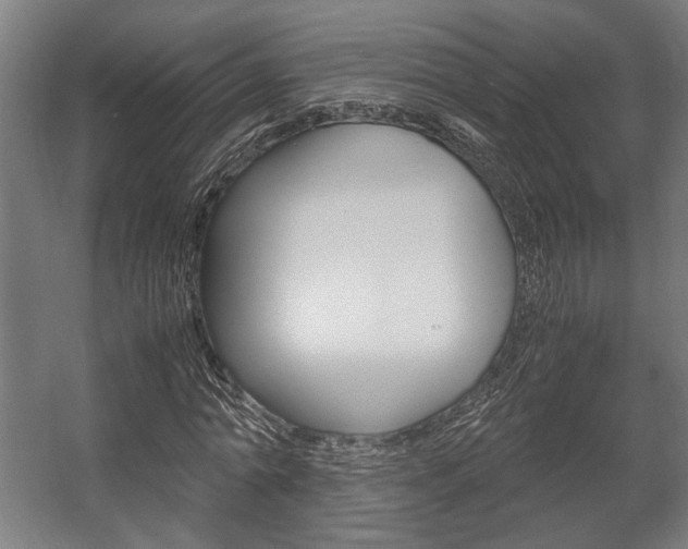 X0000058100774200509230753
