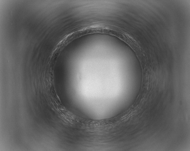 X0000058100776200509230753