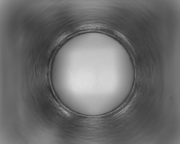 X0000058100778200509230753