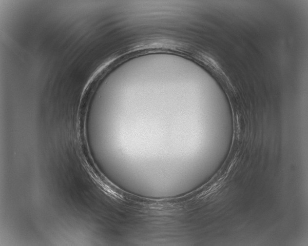 X0000058100780200509230753