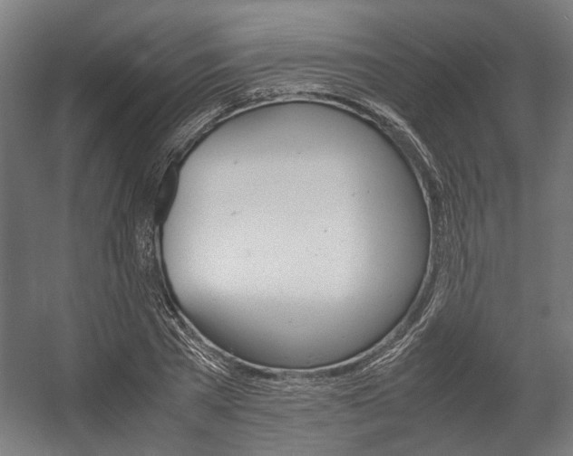 X0000058100785200509230753