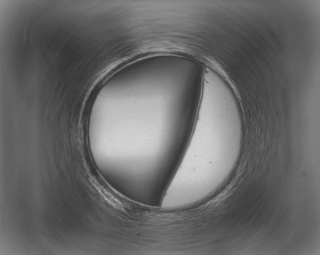 X0000058100787200509230753