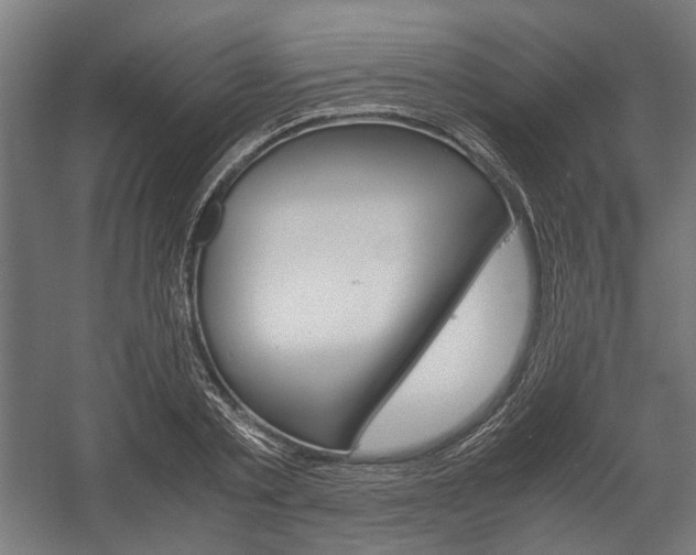 X0000058100789200509230753