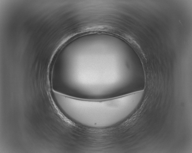 X0000058100792200509230753