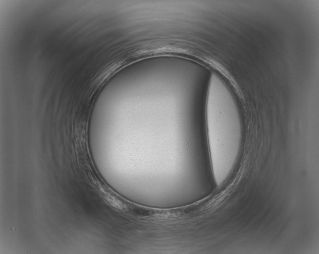 X0000058100793200509230753