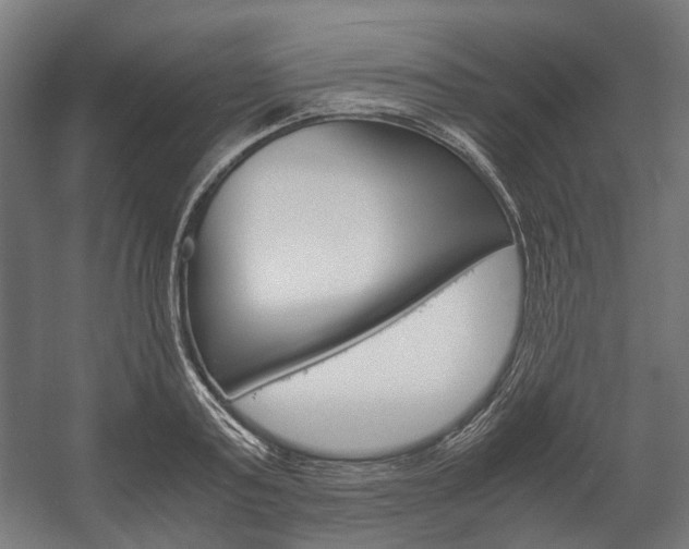 X0000058100795200509230753