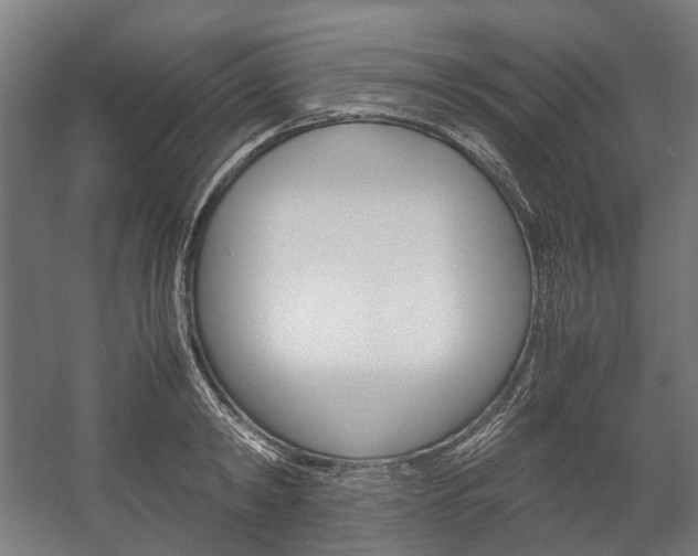 X0000058100798200509230753