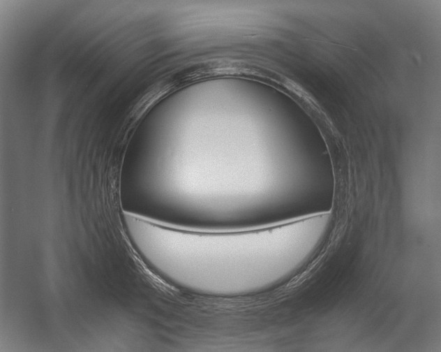 X0000058100801200509230752