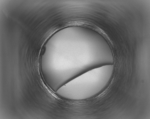 X0000058100802200509230752